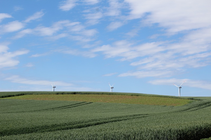 In der Horbacher Börde